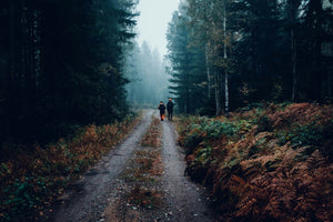 Two people walking down misty forest dirt road