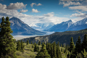 Alpine mountain valley with snow‑capped peaks, dense evergreen forest and partly cloudy blue sky