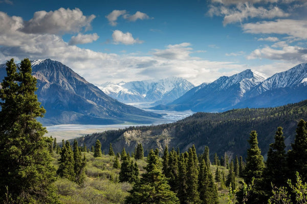 Alpine mountain valley with snow‑capped peaks, dense evergreen forest and partly cloudy blue sky