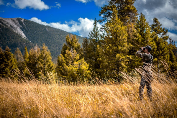 Man in camouflage using binoculars in mountain meadow with pine trees and blue sky