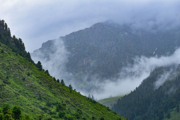 A misty mountain valley with green slopes and pine trees, clouds drifting between peaks.