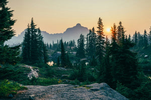 Scenic view of mountain range, pine forest and lake at golden sunrise