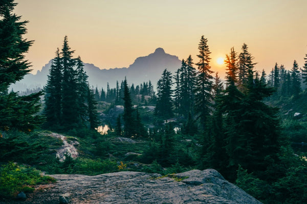 Scenic view of mountain range, pine forest and lake at golden sunrise