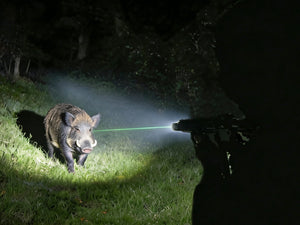 EZSHOOT flashlight and green laser illuminating a wild boar at night in a grassy field.