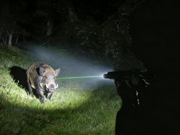 EZSHOOT flashlight and green laser illuminating a wild boar at night in a grassy field.