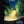 EZshoot Bright Flashlight for AR Rifles can Make You See Your Target Clearly At Night - 50% Brighter Than Common Flashlight