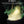 EZshoot Bright Light with Green Laser Beam - See Your Target Clearly At Night