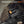 The Best Red Dot Sight for Shotgun Withstand Recoil Up to 800G's