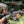 The Recoil of EZshoot Red Dot Sight can Hold Up to 800 Pounds
