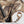 EZshoot Non-swivels Shotgun 2 Point Sling with Neoprene Padded