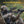 EZshoot Hunting Crossbow with 4.3-4.9 Inches Long Eye Relief is more Comfortable and Safe