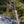 EZshoot Stable and Sturdy Rifle Bipod for AR-15 Shooting and Hunting