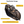 EZshoot Compound Bow Case, large external zipper arrow pouch in camo