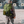 EZshoot Range Backpack in army green