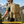 EZshoot Detachable Molle Bag, hydration bladder compatible ( bladder not included )