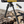 EZshoot Bipods, height adjustment