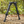 EZshoot Having both bipod, ock oer