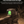 EZshoot green dot sight, fully enclosed green dot sight