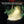 EZshoot built-in USB rechargeable, which can clearly illuminate your target in the dark Light with Red Beam
