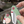 EZshoot Steel Blade, quicky smooth action flipper in jade green