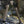 EZshoot Stable and Sturdy Picatinny Bipod for AR-15 Rifle Shooting
