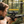 EZshoot Scope Rings, ultra long eye relief