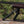 EZshoot Foldable and Adjustable Rifle Bipod for Shooting Stability