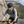 hydration that moves with you – EZshoot Hiking Water Backpack (green)