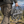 (not including the strap) – EZshoot help maintain platform